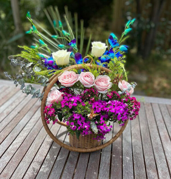 Bright blooms